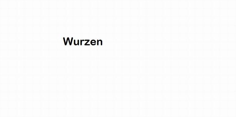 n_1108 Wurzen.jpg